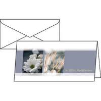 Sigel sympathy card DS208 DL 220g 10 pieces/pack. +envelopes