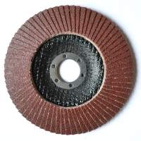 125 mm P120 Fächerscheibe Flap Disk für Winkelschleifer Schleifteller Schleifscheibe