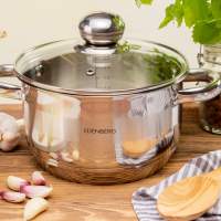 Edenberg Cooking Pan with Lid - Stainless Steel - sizes from 12 cm to 28 cm